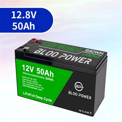 Zbudowany - w 50ah BMS litowo -jonowy elektryczny bateria rowerowa Pakiet Baterii długości -